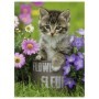 Puzzle Pisicuta Intre Flori, 100 Piese Ravensburger - 1